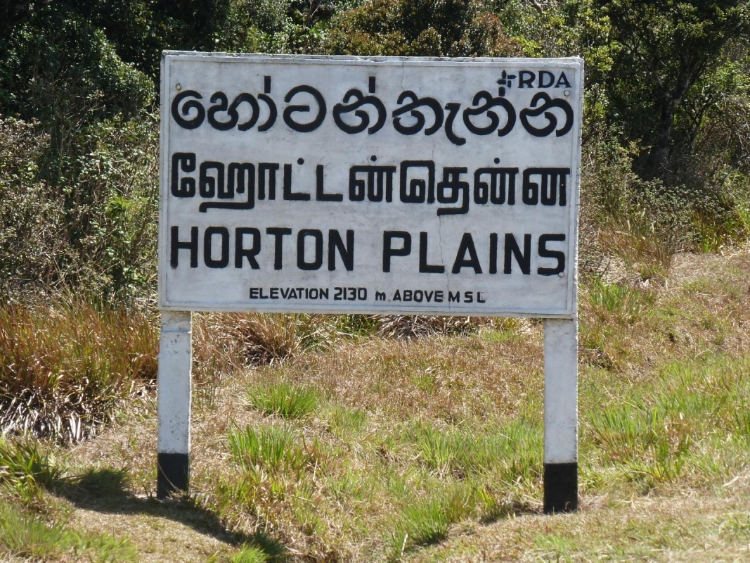 HIDDEN BEAUTY  OF SRI LANKA 3