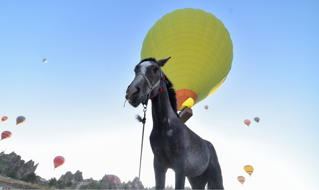 7 Days Cappadocia – Land of the Beautiful Horses 7