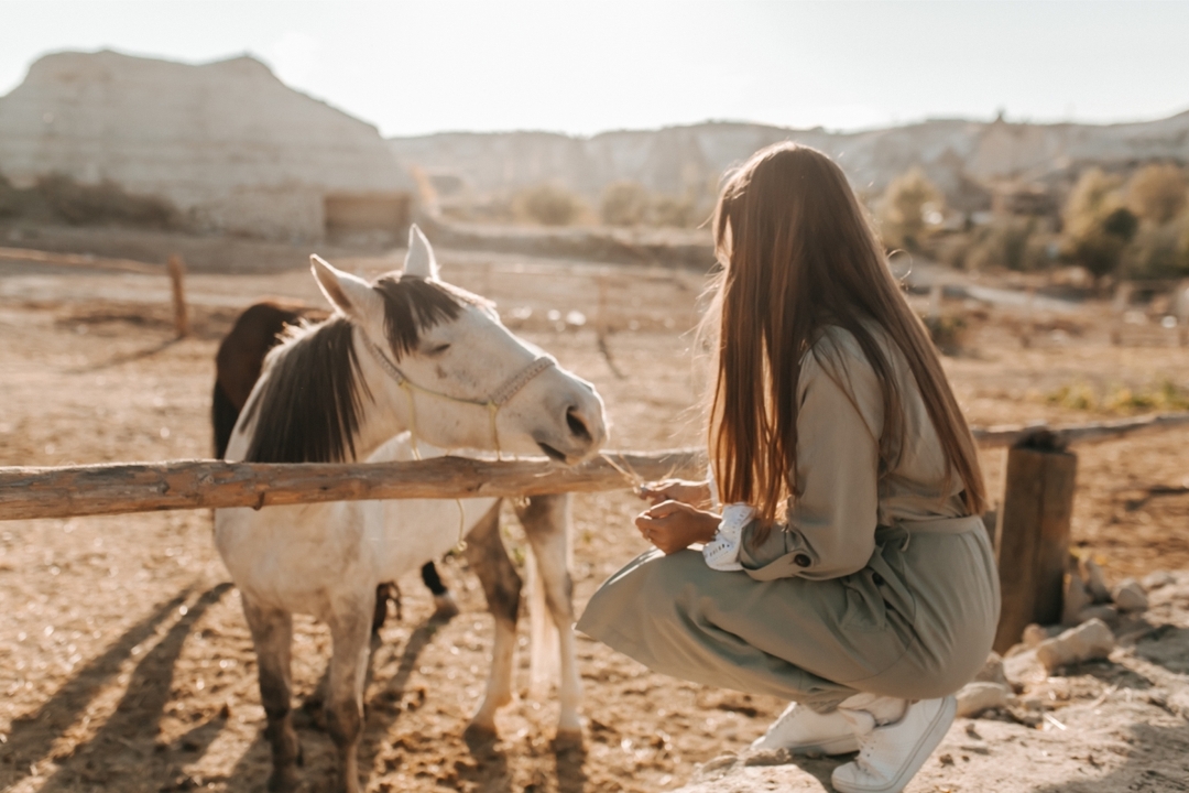 7 Days Cappadocia – Land of the Beautiful Horses 2