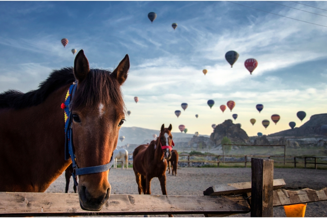 8 Days Turkey Cappadocia City Big Sky Tour 3