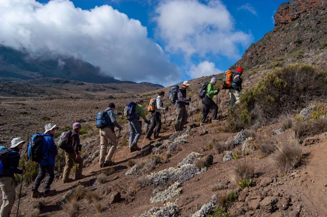 15-Day Kilimanjaro Climb, Serengeti Safari, and Zanzibar Beach Holiday 8