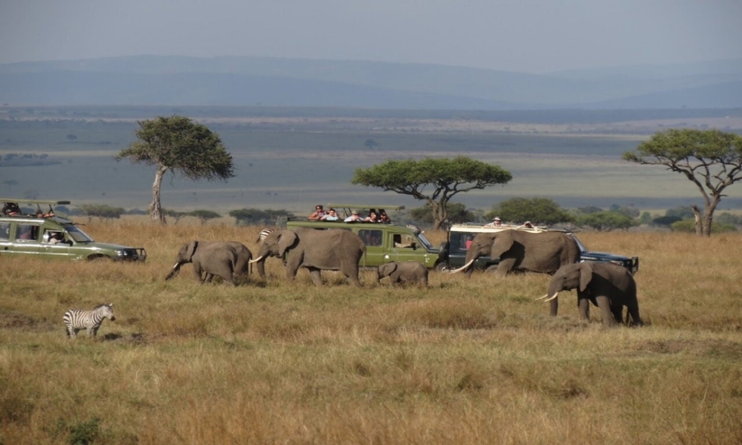 8 Days Masai Mara, Lake Nakuru, Lake Naivasha, Amboseli, Tsavo West and Tsavo East Safari 8