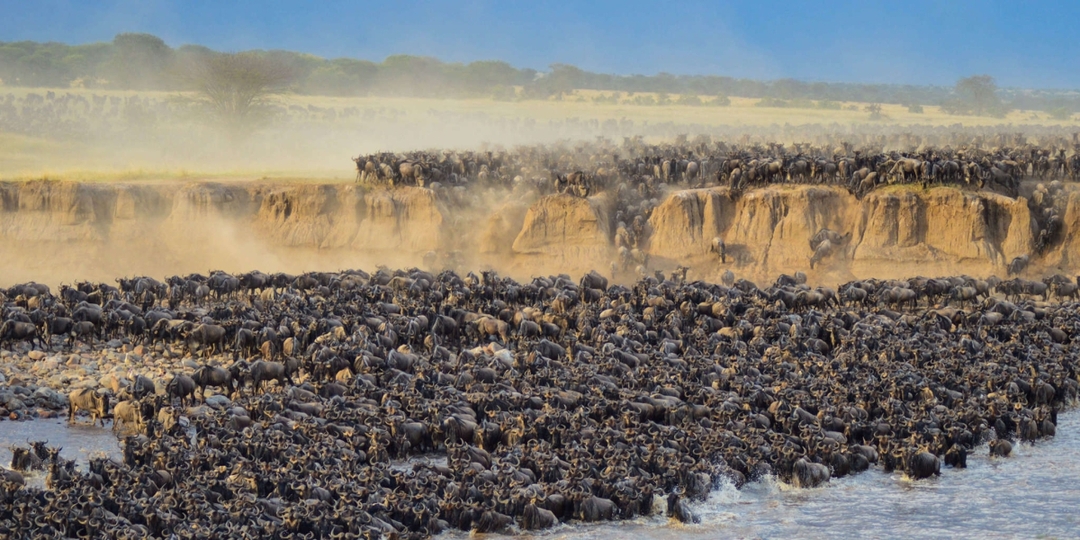 3 Days Masai Mara National Reserve Flying Luxury Lodge Safari 7