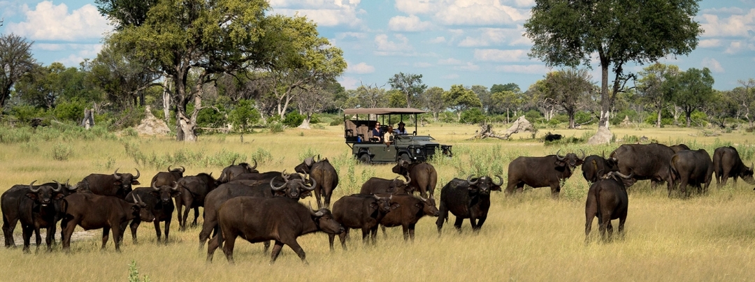 3 Days Masai Mara National Reserve Flying Luxury Lodge Safari 8