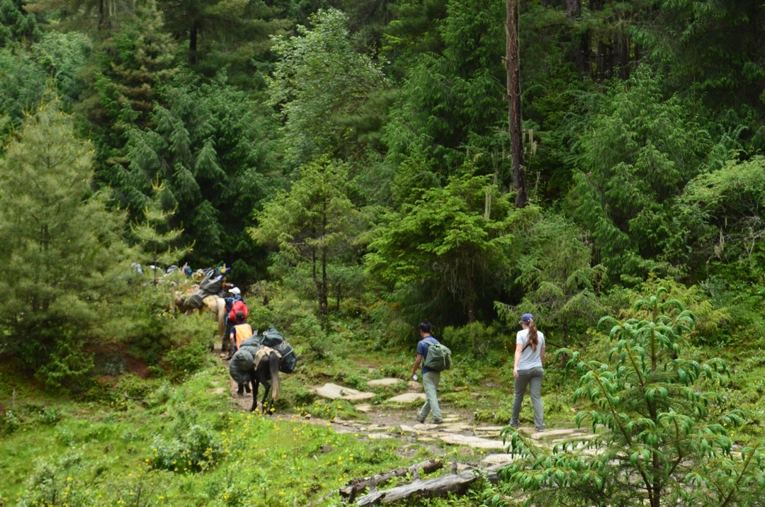 Bhutan Druk path Trek 7