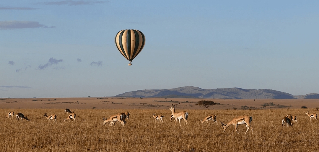 Wild Kenya: Ol Pejeta, Lake Nakuru & Masai Mara in 6 Days 8