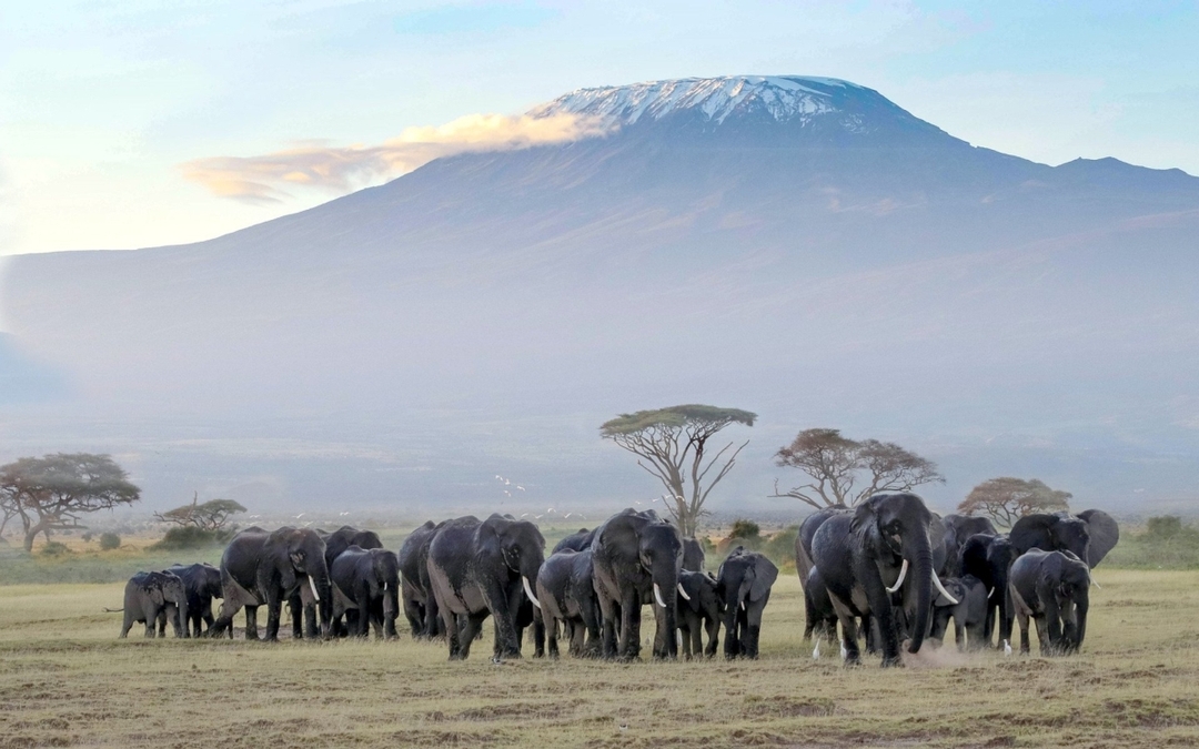 9 Days Kenya and tanzania Spectacular Wildebeest Migration Safari 2