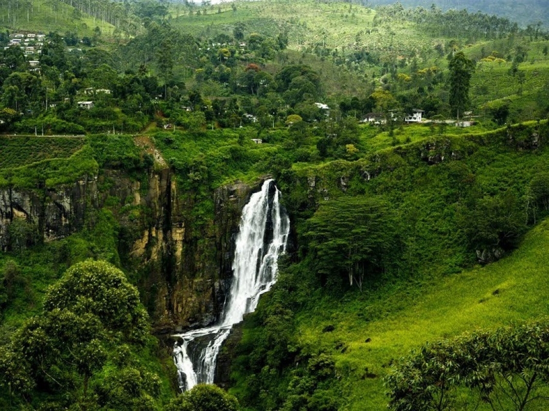 Signature Sri Lanka 08 Days 3