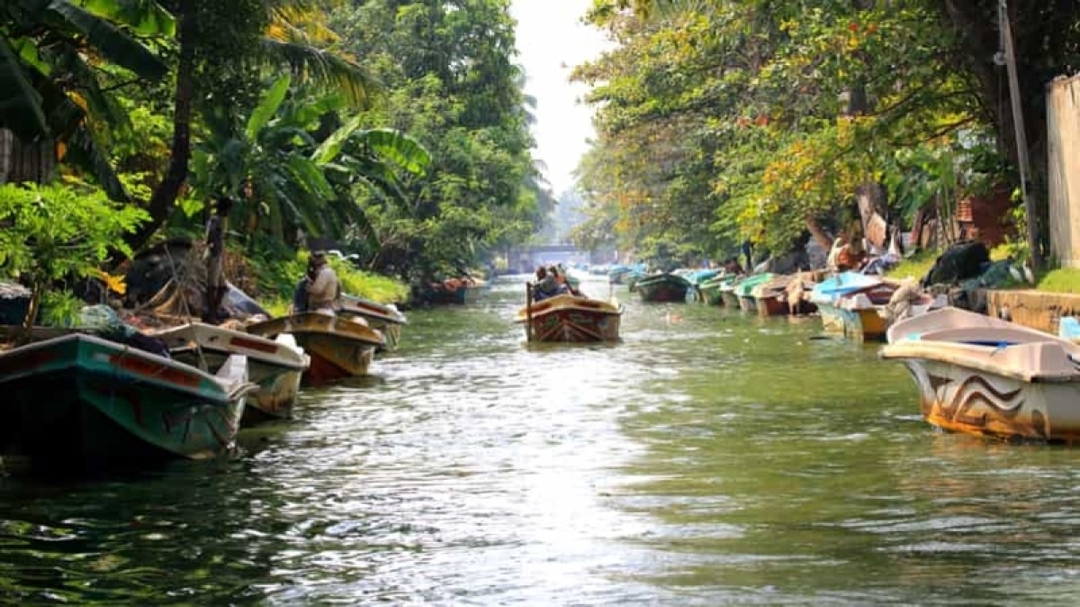 Sri Lanka Halal Tour 7