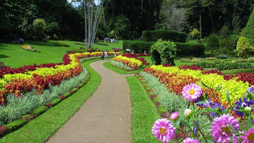 Sri Lankan Experience     07Days Tour 4