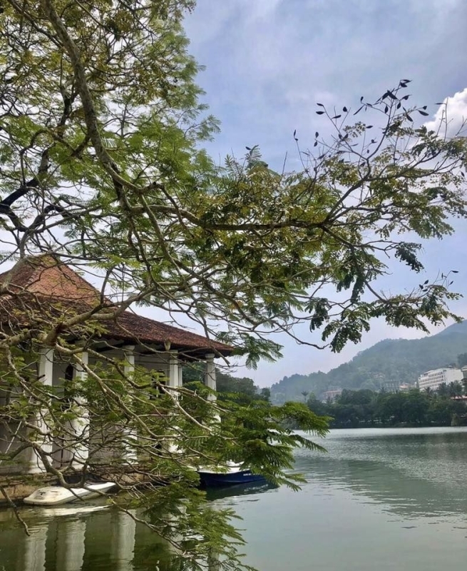 Sri Lankan Experience     07Days Tour 7