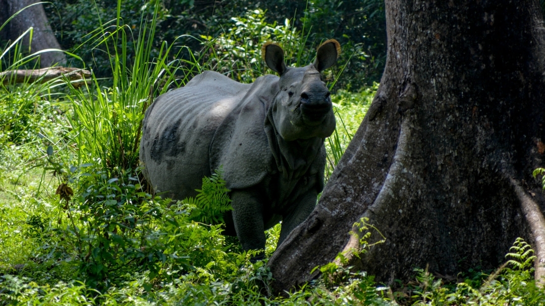 Nepal Soft Adventure Tour 4