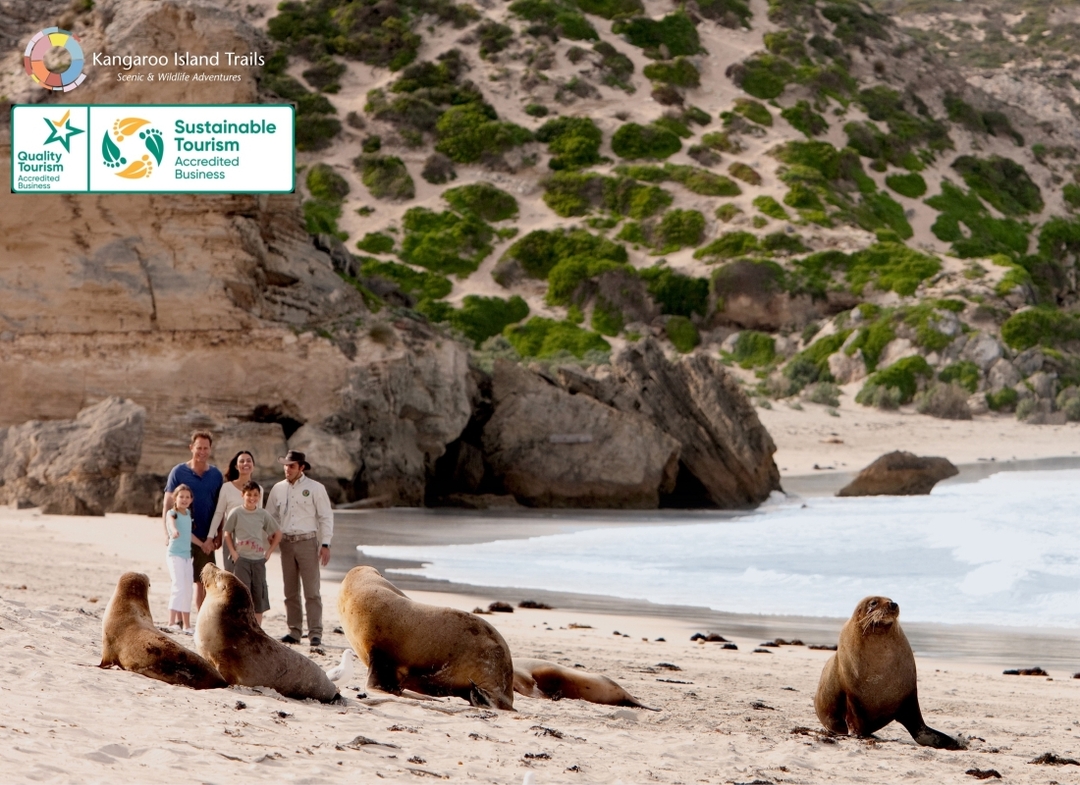 Kangaroo Island Scenic Nature and Wildlife Day Tour 2