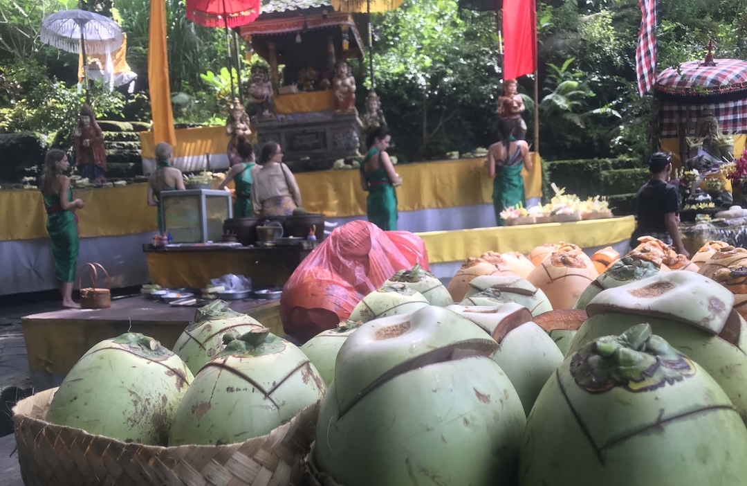 Purification Holy Bath at Beji Gria Waterfall | Bali 5