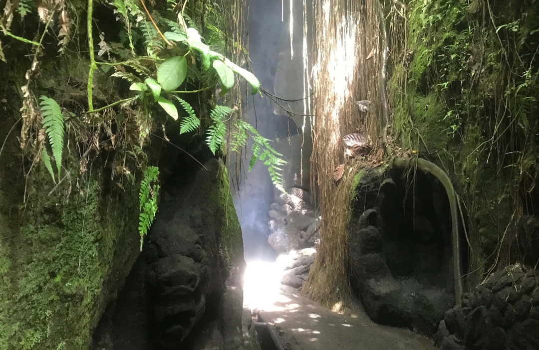 Purification Holy Bath at Beji Gria Waterfall | Bali 6