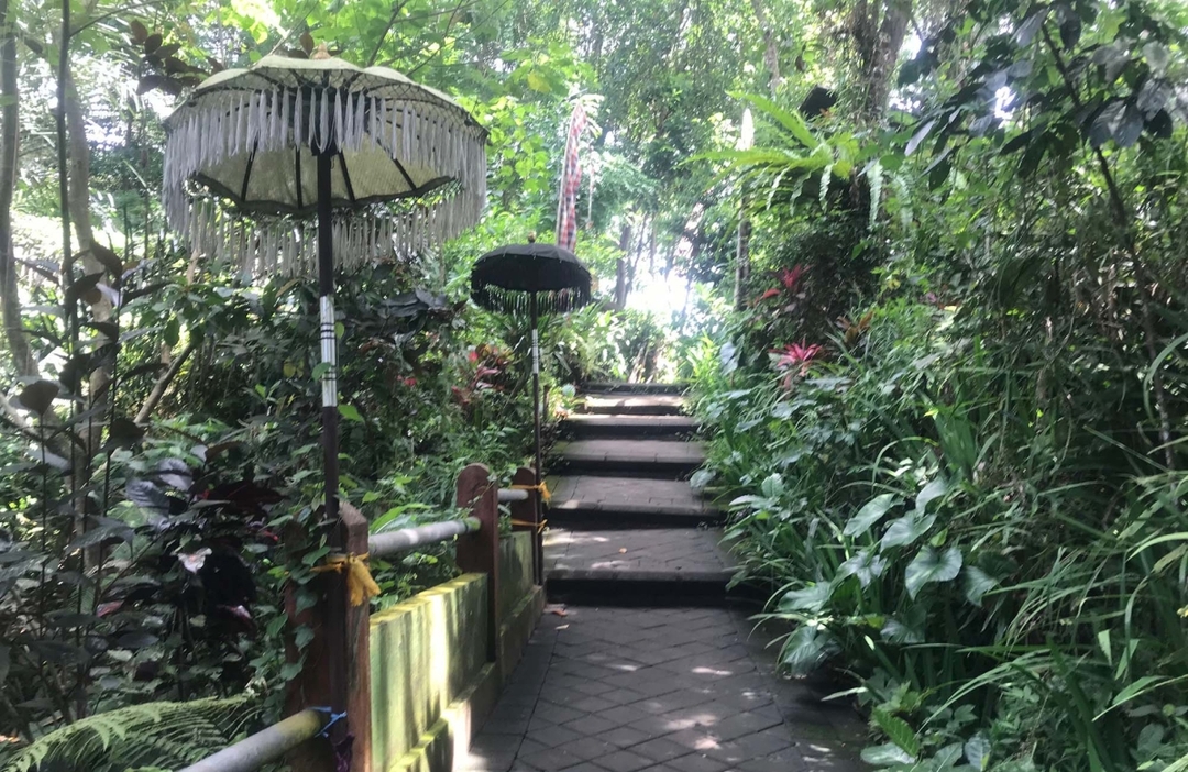 Purification Holy Bath at Beji Gria Waterfall | Bali 7