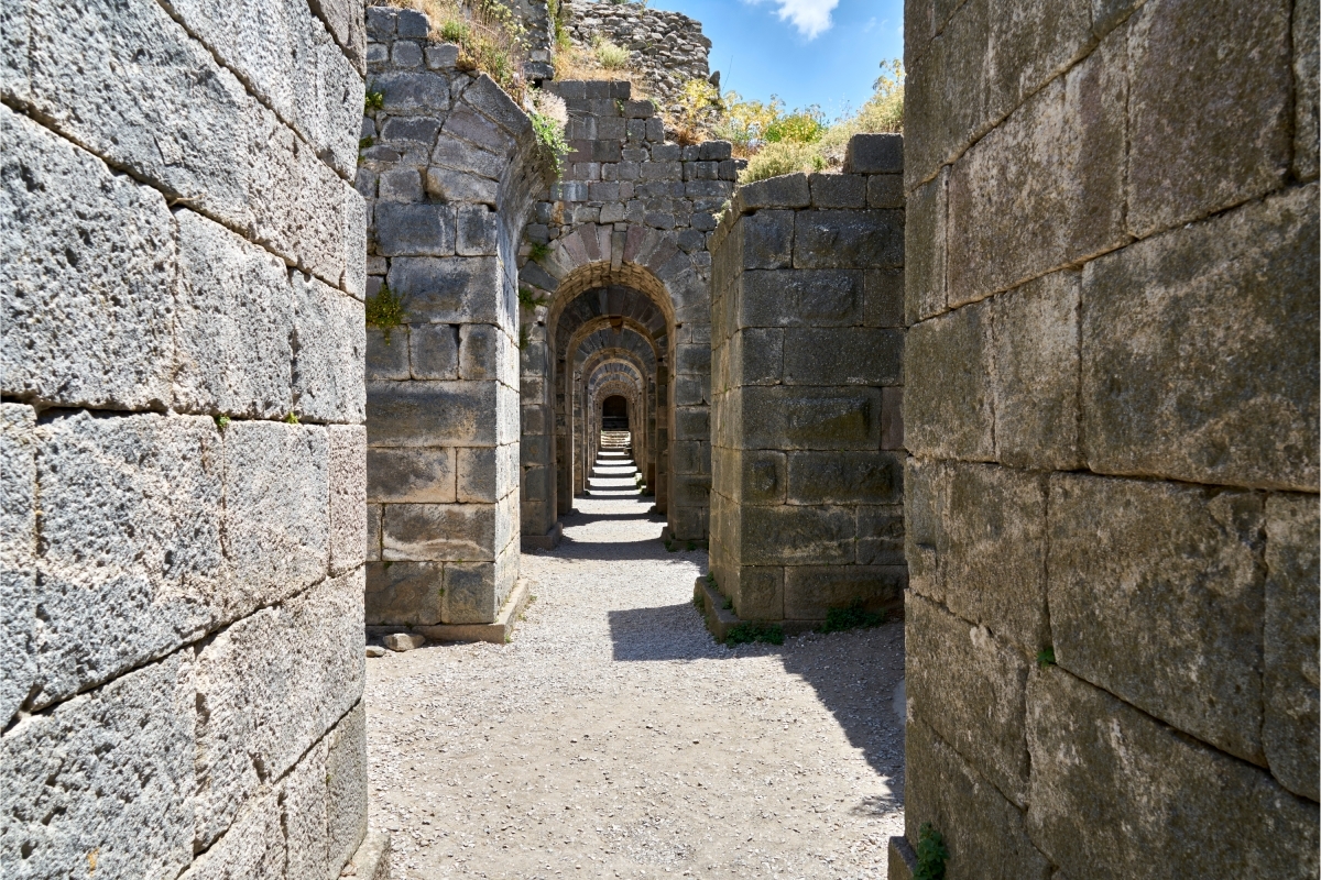 Image 8