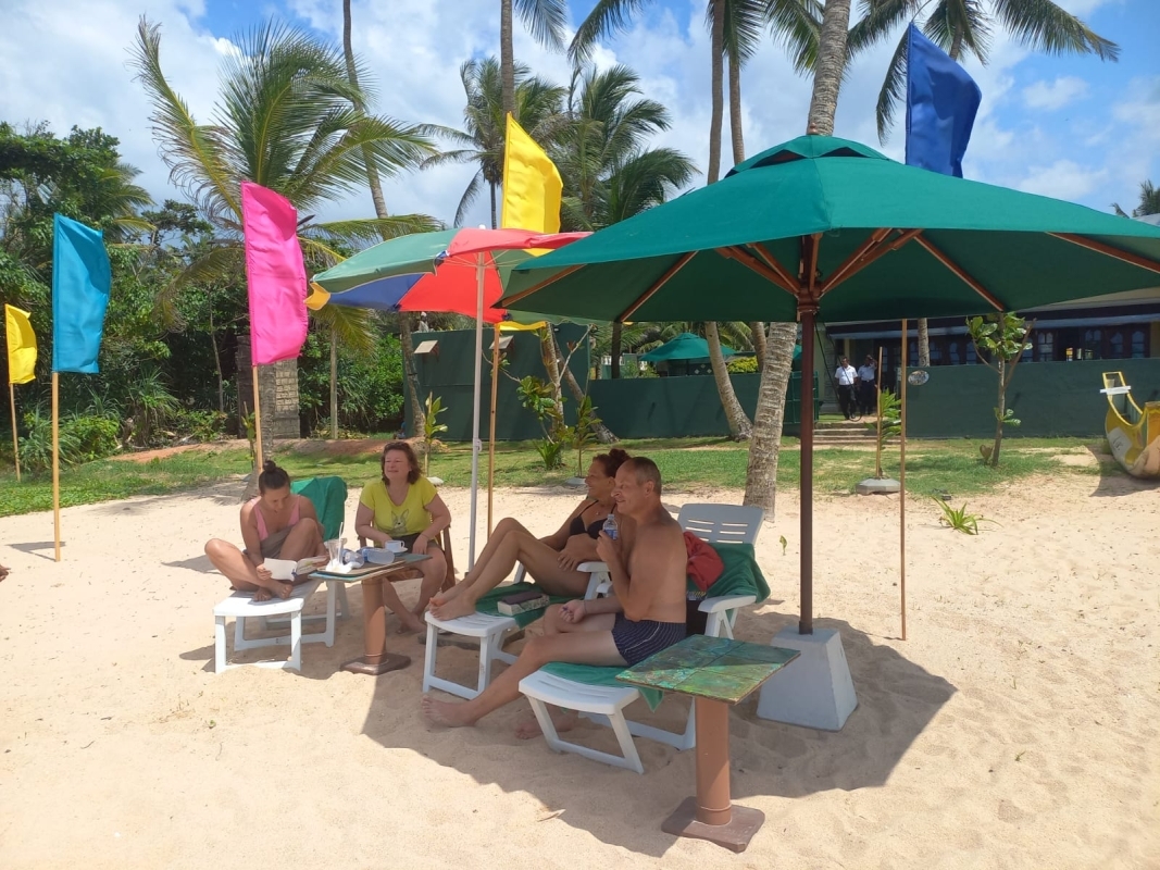 Surfer's Paradise Tour 5
