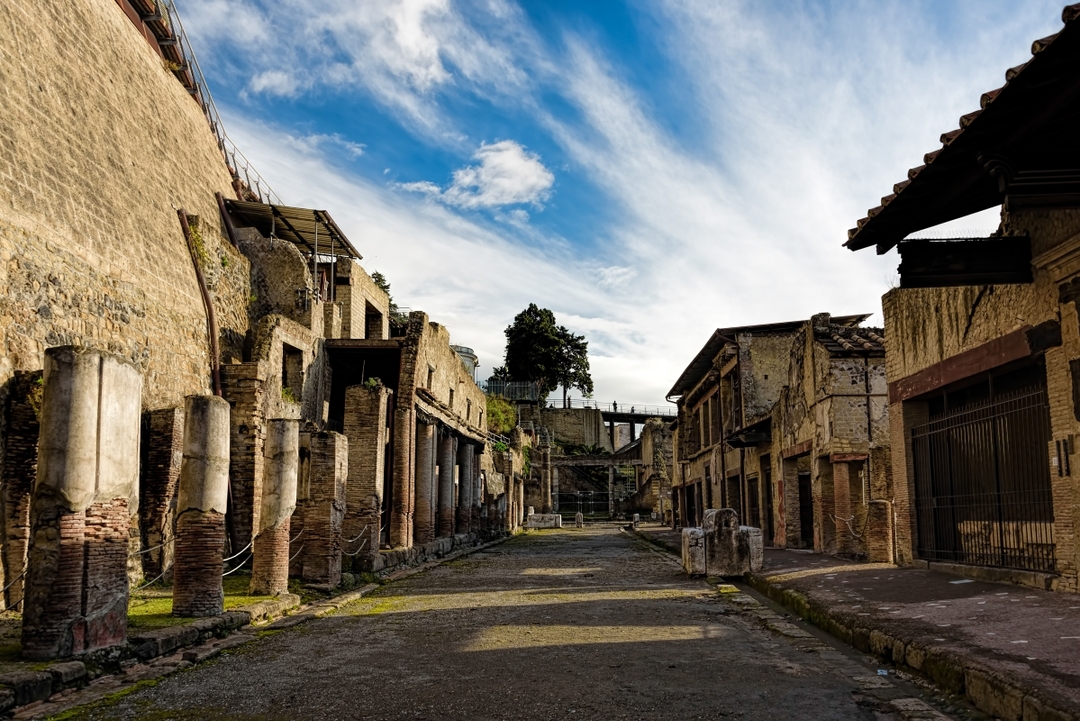 From Naples: discover the ancient Herculaneum - shared tour 1