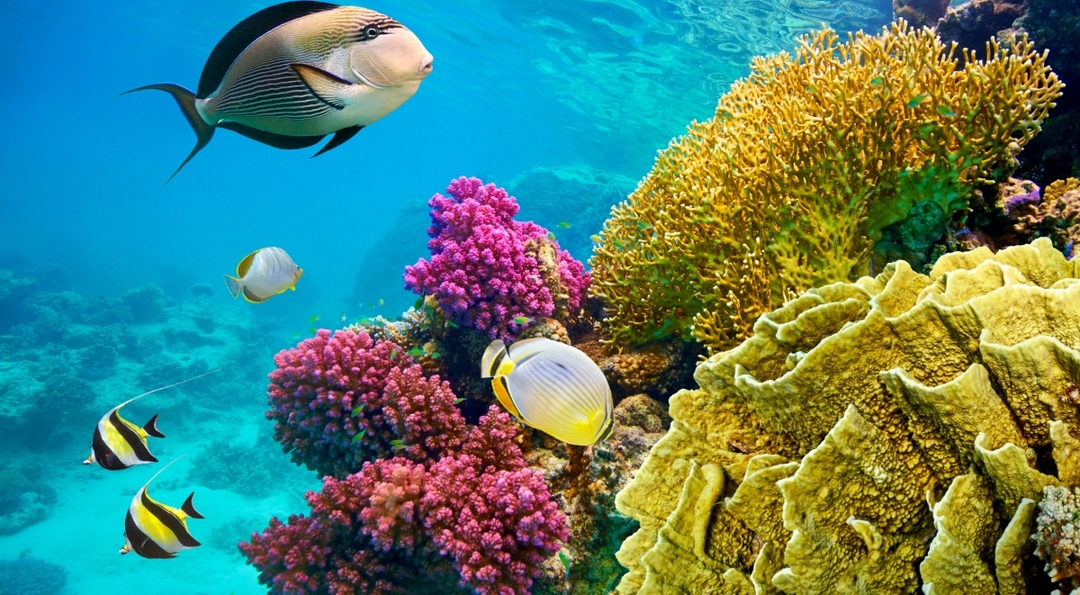 Treasures and Beaches  10 Days, 9 Nights 6