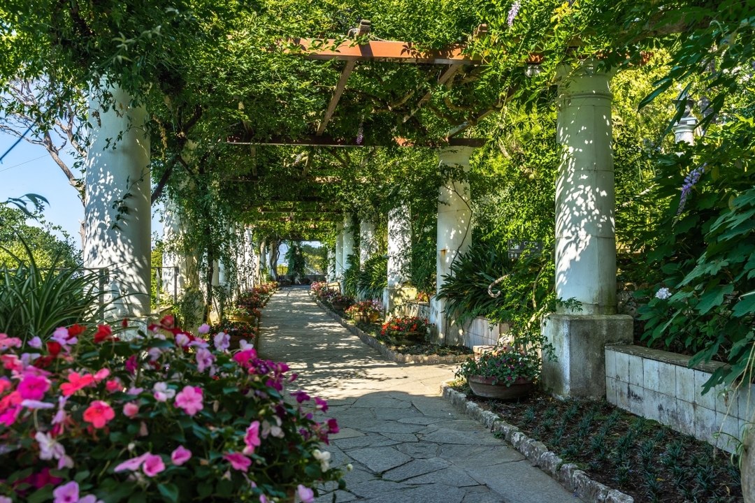 From Naples: Capri and Anacapri tour without pick-up, including ferry and local minibus – shared tour 2