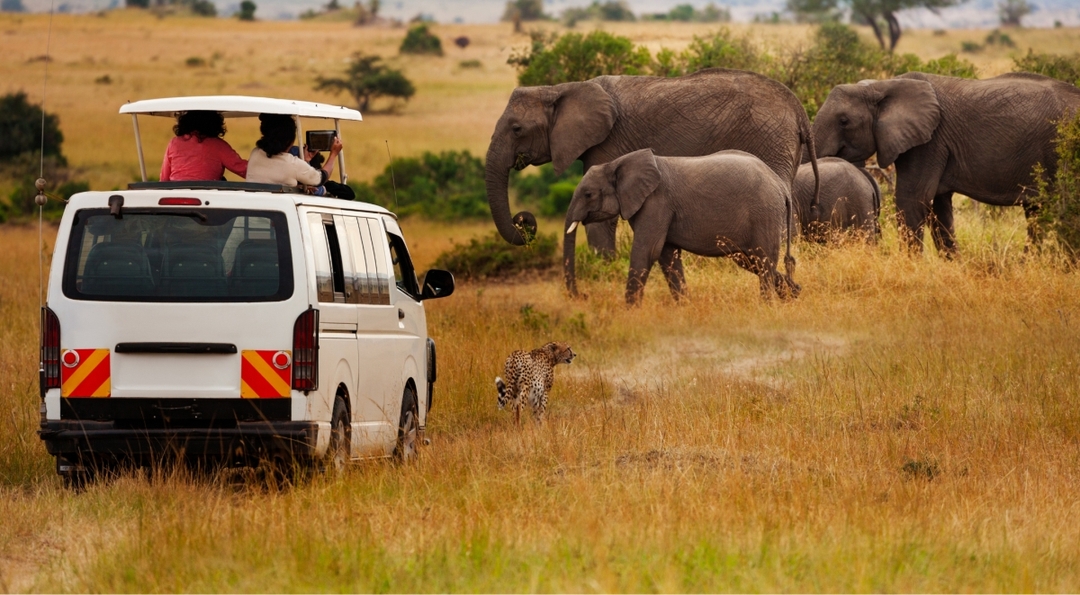 10 Day Affordable Classic Highlights of Kenya: Bush and Beach Tour 3