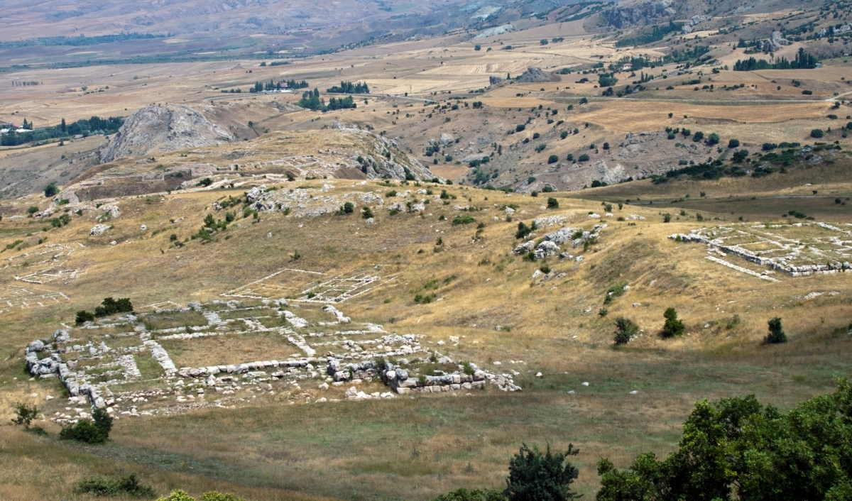 Image 9