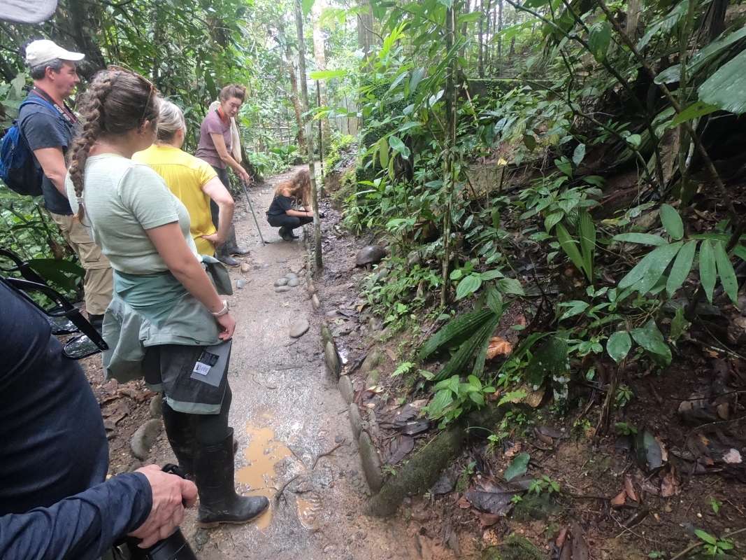 Cotopaxi, Baños de Agua Santa and some of the Jungle. 9