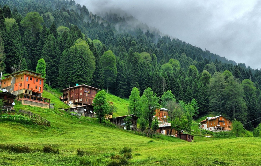 Ayder Escape: Waterfalls, Forests & Fresh Air 1