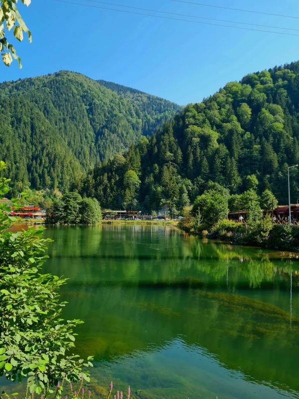 Daily Tour to Uzungöl - Discover the BlackSea  3