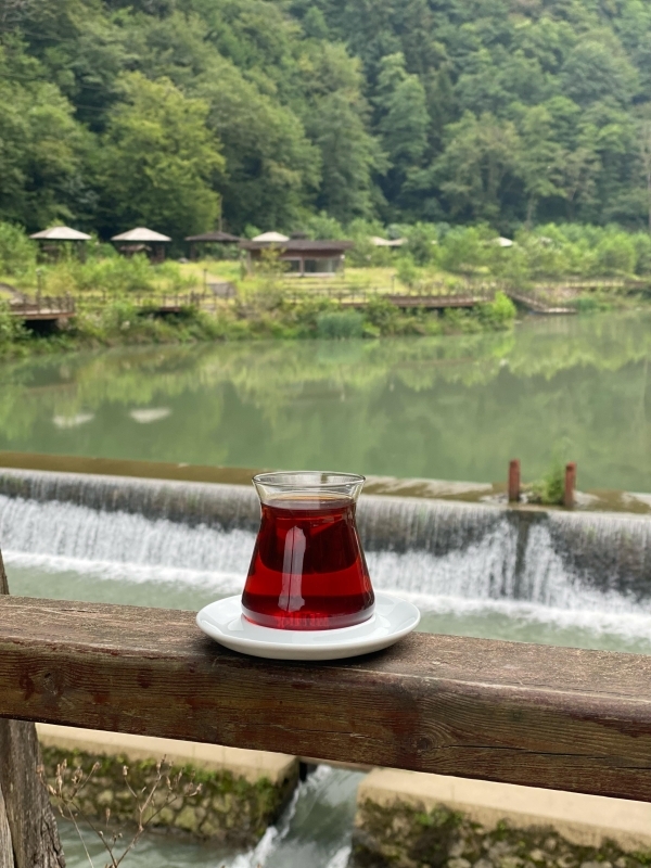 Daily Tour to Uzungöl - Discover the BlackSea  6