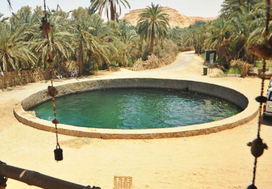 Private Grand Safari And Antiquities of Egypt (10 Days) 1