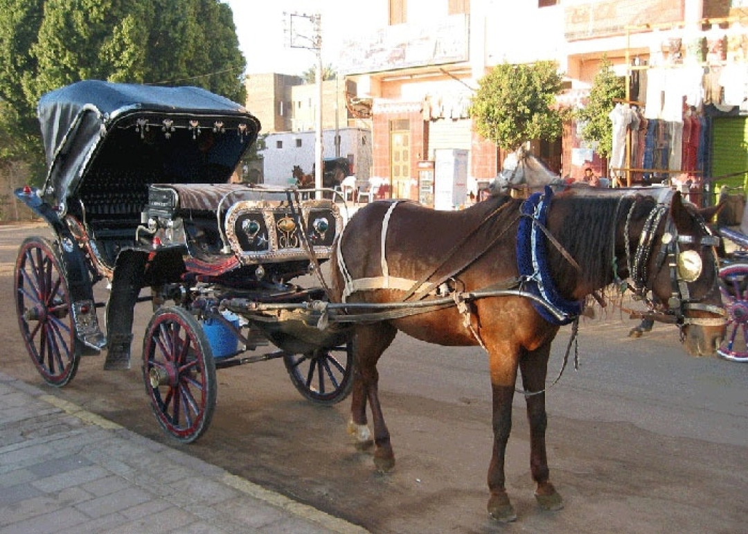 LUXURY Private 2 DAYS DISCOVER ALEXANDRIA FROM CAIRO 2