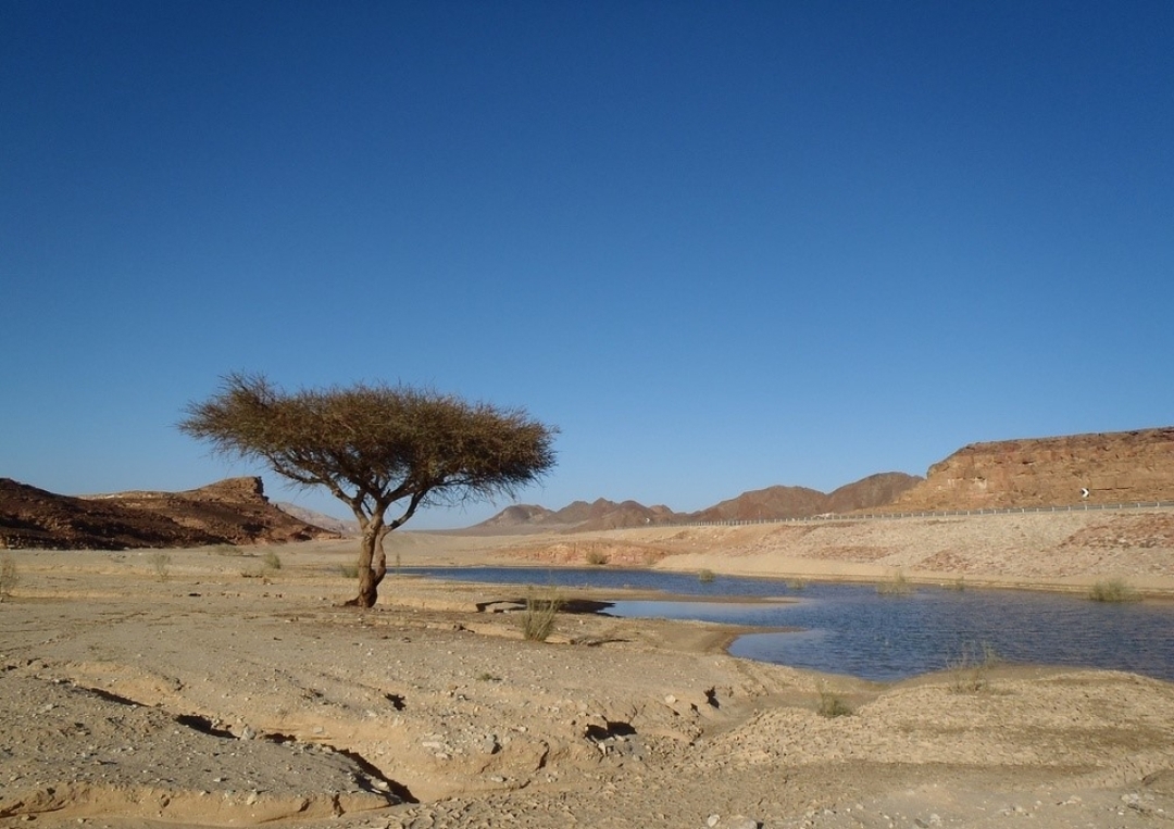 Old Virgin – Discover Sinai With Jeep Safari 4