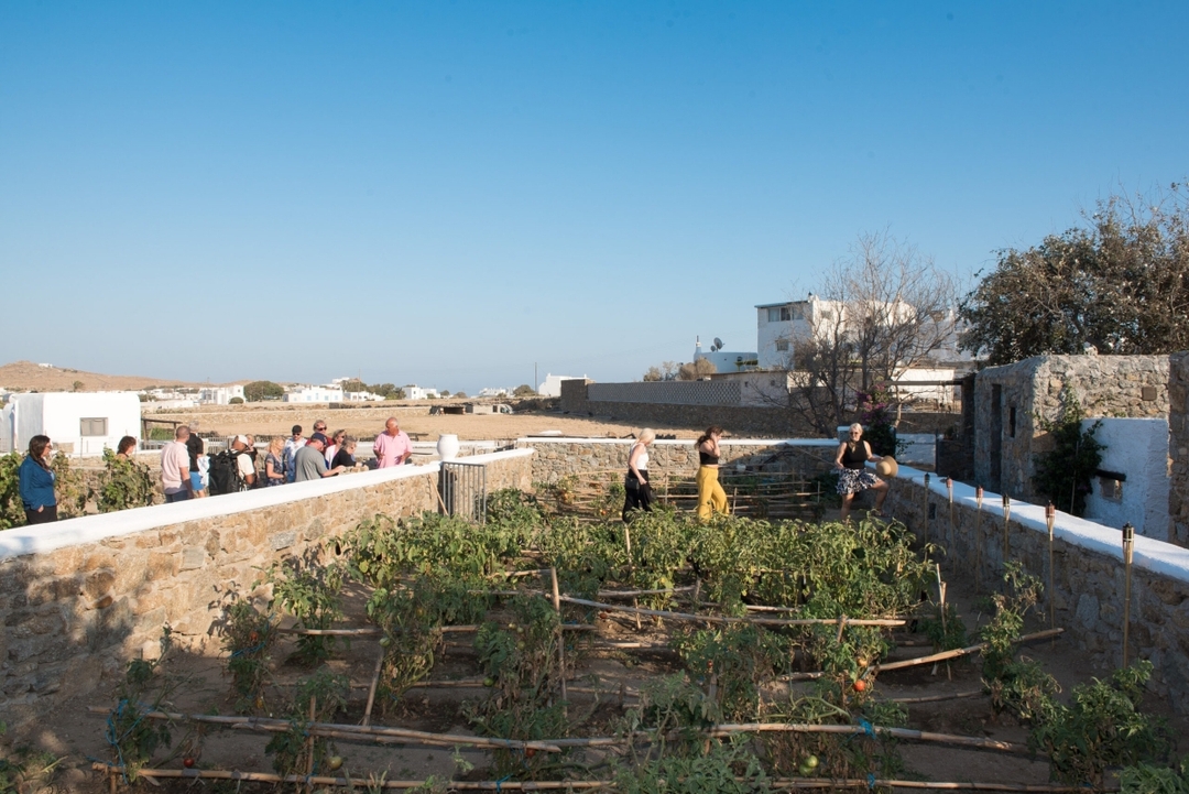 Traditional Lunch or Dinner at the Mykonian Farm 4