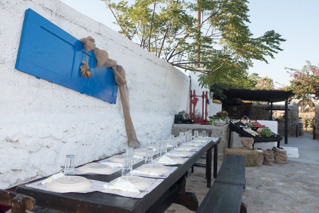 Traditional Lunch or Dinner at the Mykonian Farm 5