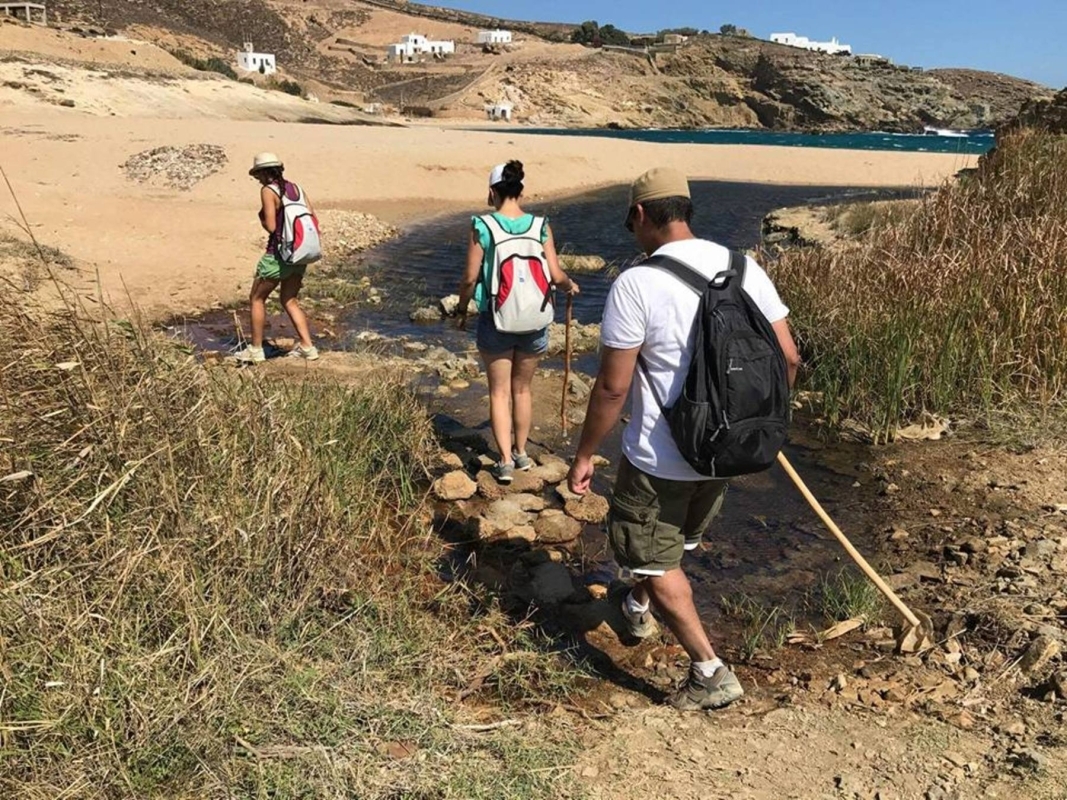 Daily Hiking Adventure Mykonos  5