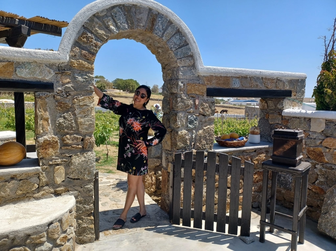 Visit the Mykonian Farm 1