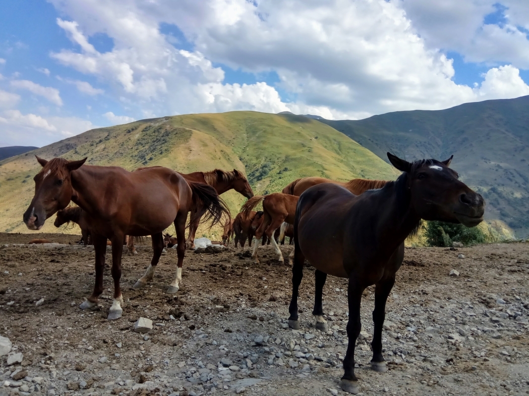 Hot Spring and Horse-sleigh tourKyrgyzstan 2 days 2