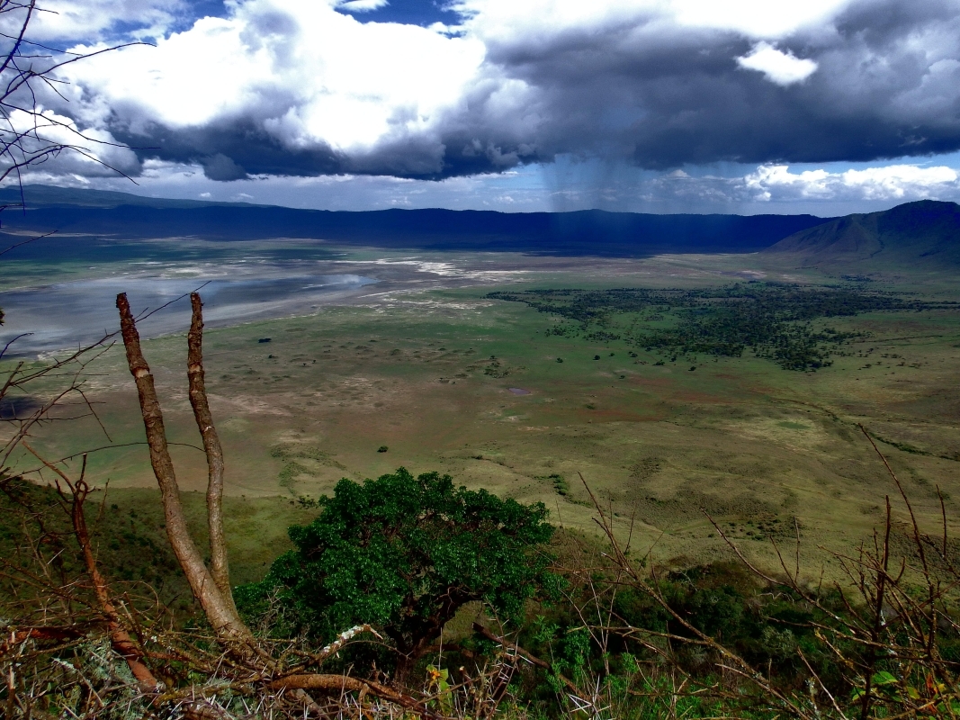 Full-Day Trip to Ngorongoro Crater 2