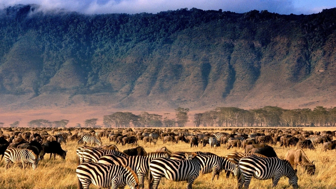 Full-Day Trip to Ngorongoro Crater 4