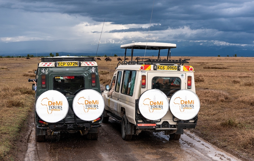 The Great Annual Migration Trek: Kenya & Tanzania 3