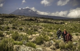 Scenic Lemosho Route To Kilimanjaro Adventure
