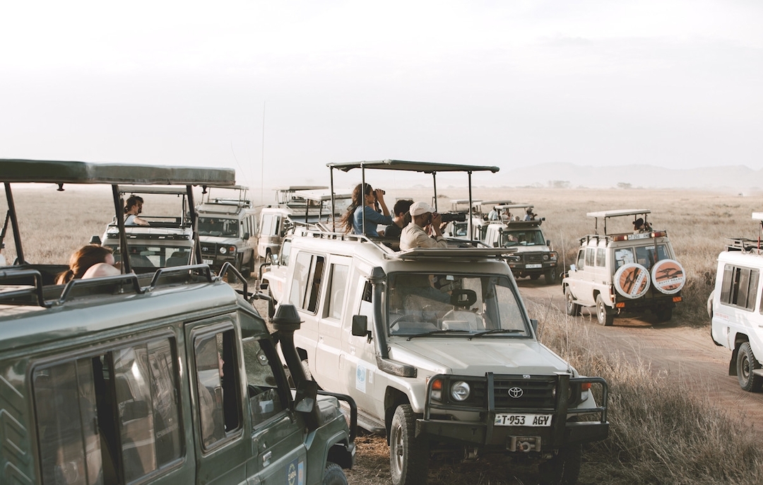 Day Trip to Ngorongoro Crater 3