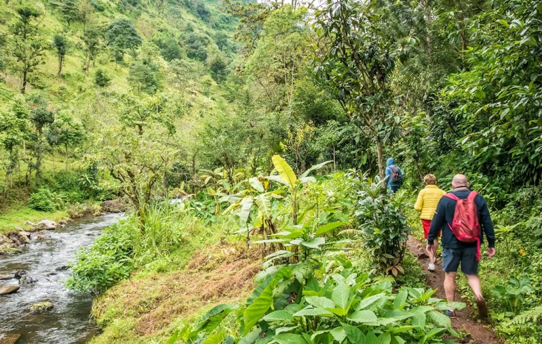 Day Tour to Materuni Waterfalls 5