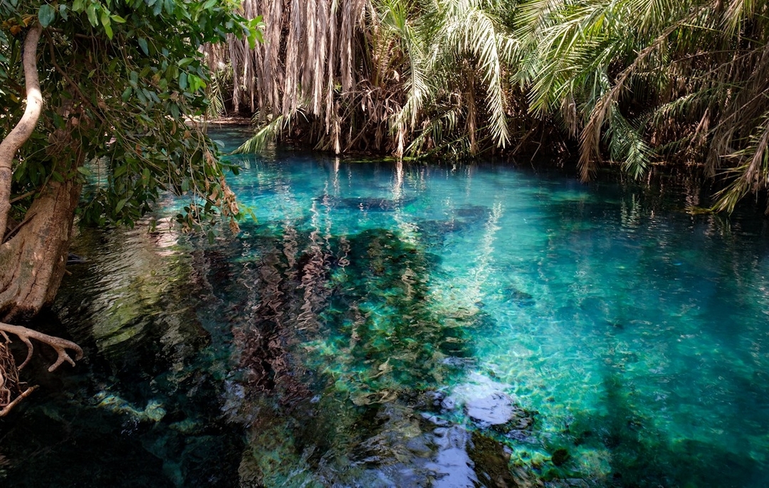 Day Trip To Kikuletwa Hot Springs/ Maji Moto 3