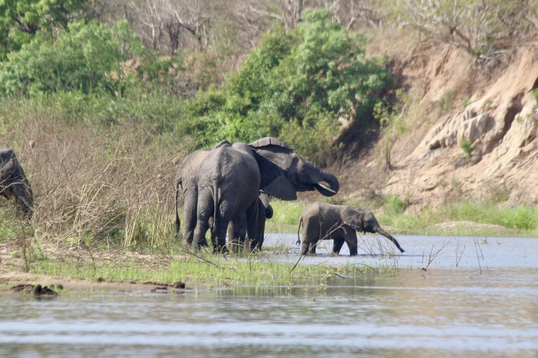 Day Trip - Selous Day Safari Tour 7