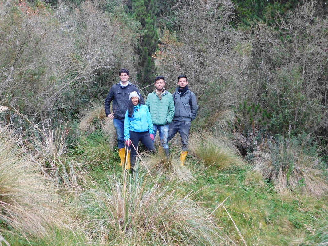 Winds of Paramo 1