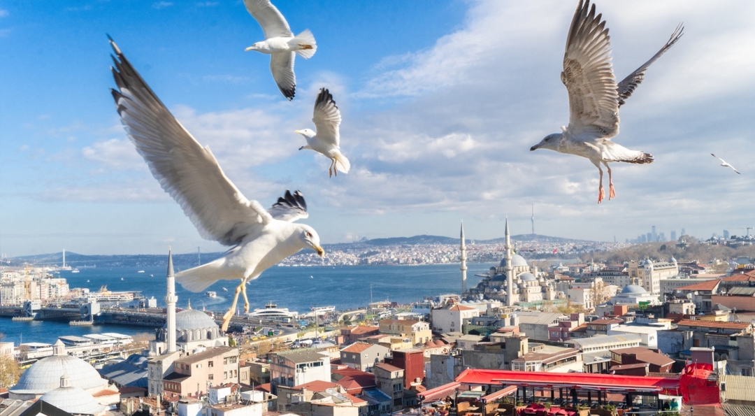 Explore Turkey in 14 Days – Tailored Tour for Indian Travelers 9