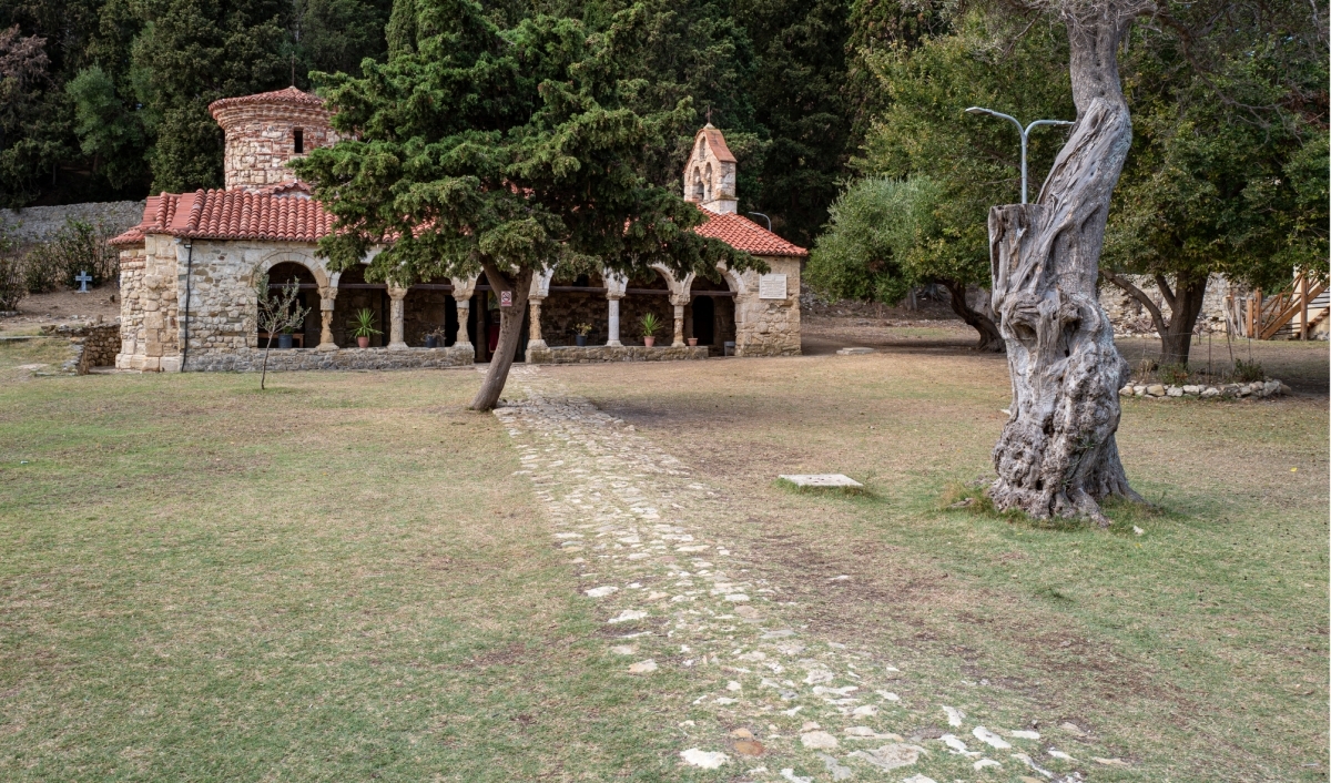 Image 7